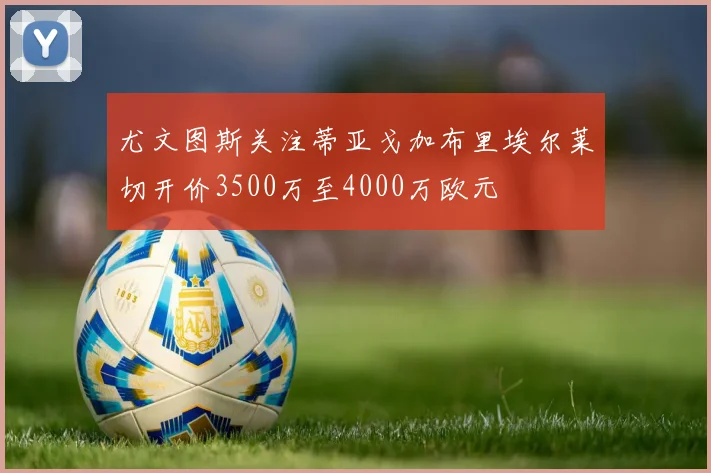 尤文图斯关注蒂亚戈加布里埃尔莱切开价3500万至4000万欧元